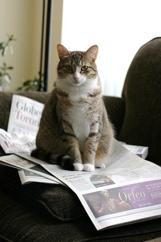 You didn't want to read the paper, did you?