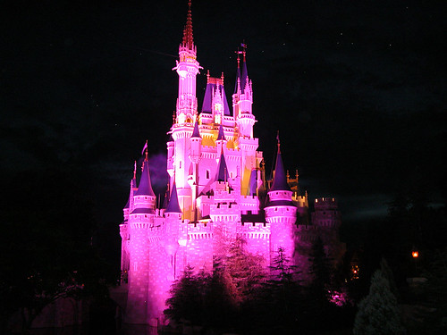 magic kingdom castle at night. Cinderella Castle at Night