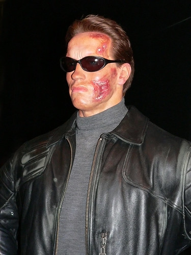 arnold schwarzenegger terminator. view large. The Terminator