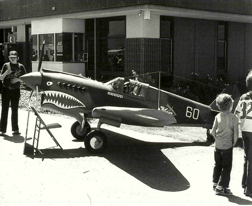 Warbird picture - P-40 warhawk  Watsonville,Calif