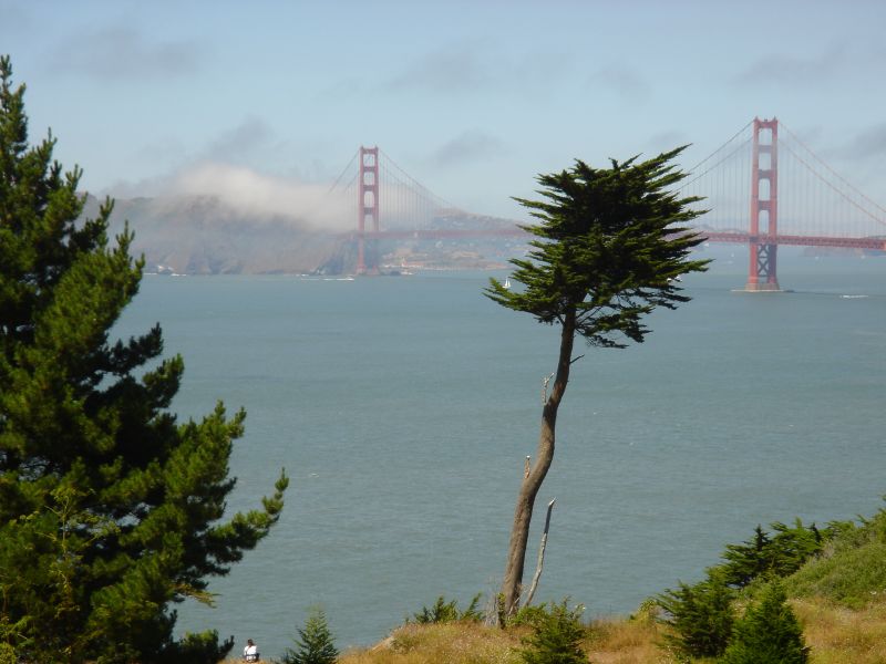 Golden Gate Bridge V