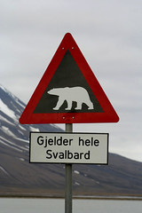 polar bear warning sign
