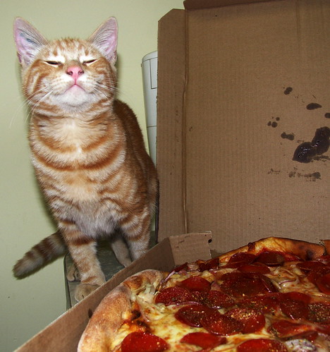 Miau!! Adoro Pizza!