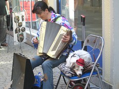 Dogs of Germany: Street Musician