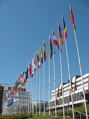 46 Flags