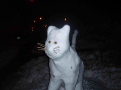 Snow Cat von sandcastlematt