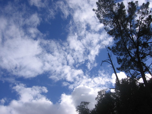 Clouds, blue sky, trees