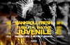Brand New Music : Bankroll Fresh - Hot Boy (Remix) Feat. LIL WAYNE, Juvenile & Turk