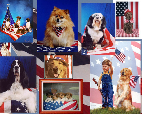 american flag desktop wallpaper. american flag desktop copy