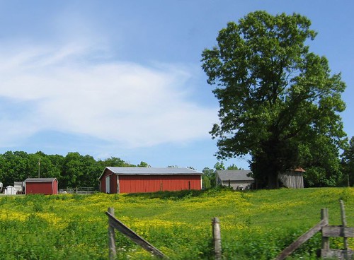 Farm scene, Bardstown, Kentucky