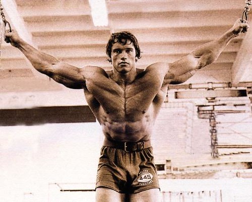 arnold schwarzenegger bodybuilding videos. Arnold Schwarzenegger