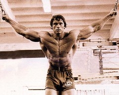 The Governator, Arnold Schwarzenegger probably the best bodybuilder of all time by Tall Fool