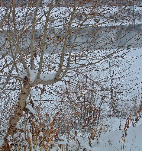 winter riverbank