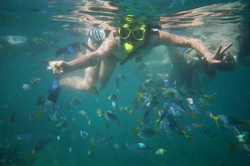 buceando entre peces en Palau