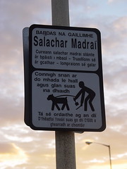 Salachar Madraí