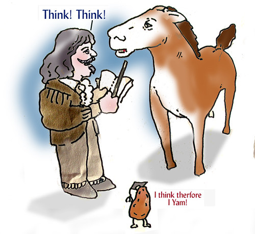 Putting Descartes before de horse