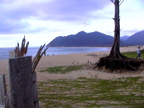 Download this Lhok Beach Nga Museum... picture
