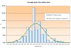 Average penis size