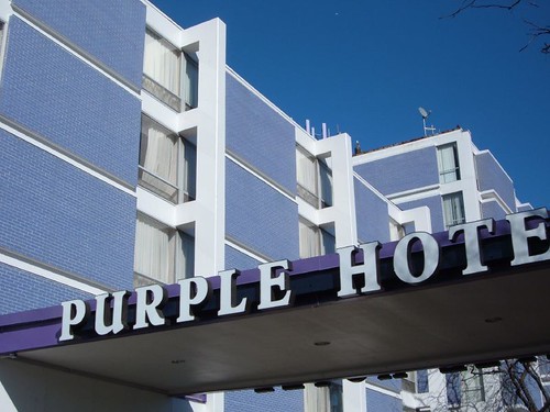 The Purple Hotel