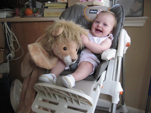Rosa Jane's New Lion and Highchair
