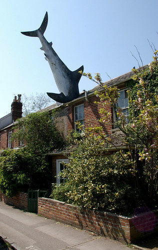 creative commons hi-res photo of the day:  headington shark (1265 x 2000)