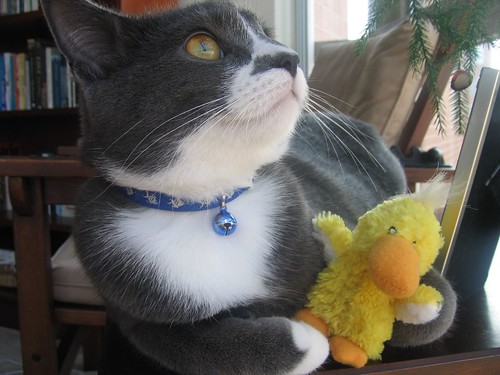 winston and his duckie