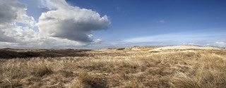 Island of Texel - Westside Dunes -