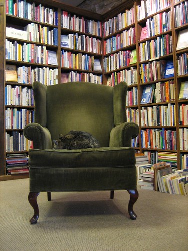 used books cat