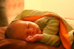 sleepy katan (5 days old)