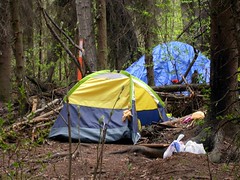 Homeless camp in Valley of the Moon woods