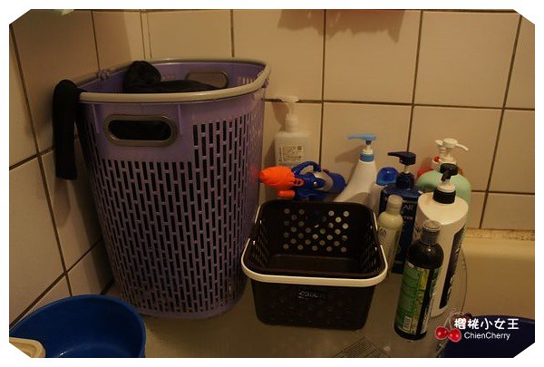 大創 DAISO 39元 洗衣網 幼兒洗髮帽 女性專用清潔液 月經清潔劑 收納盒  電風扇收納 寶寶鞋盒 