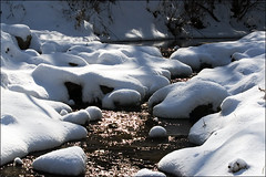 Nameless Creek: January Snow