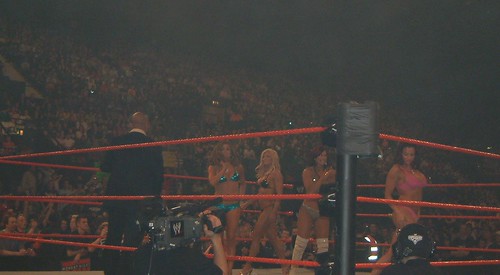 WWE Divas Bikini