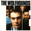 wolfhounds | me