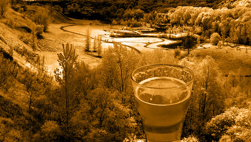 A beer-colored, sepia-tone-like picture of glass of beer overlooking a valley