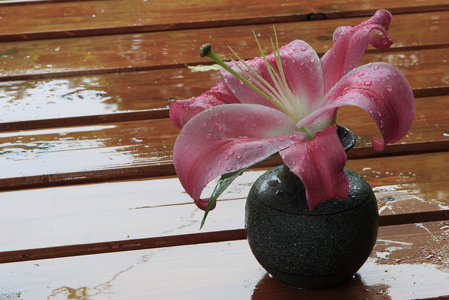 雨中の飾花
