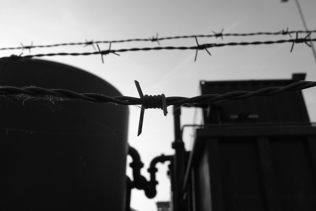 barbed wire bw