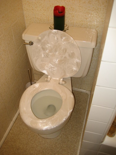 Mother Of Pearl Toilet Seat