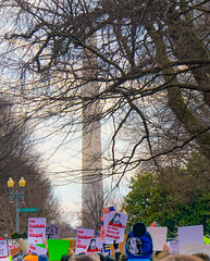 2017.01.29 No Muslim Ban Protest, Washington, DC USA 00288