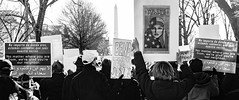 2017.02.04 No Muslim Ban 2, Washington, DC USA 00406