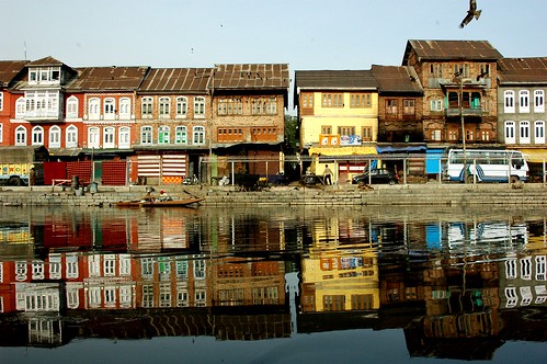 Srinagar Reflections