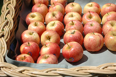 free apples from wild oats