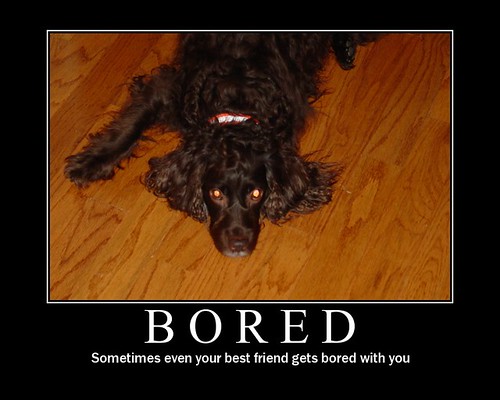 Bored by Jim Dozier.