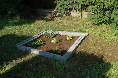 The New Herb Garden