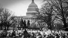 2017.01.29 Oppose Betsy DeVos Protest, Washington, DC USA 00227