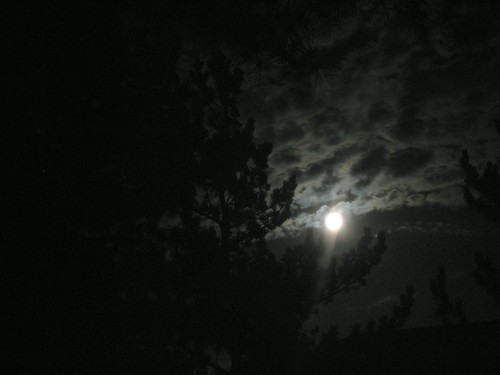 moonlight night sky. Moonlit Night Sky by JakeEssl