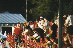 Into the Stands