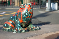 Mottled Frog by CarbonNYC, on Flickr
