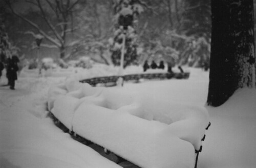 Central Park Benches 2006
