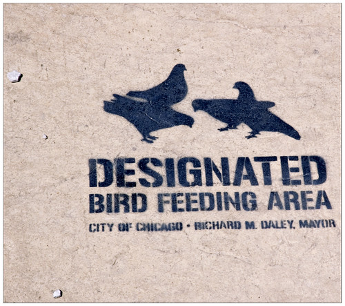 Designated Bird Feeding Area
